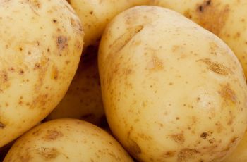 Lagerkartoffeln saisonal einkaufen